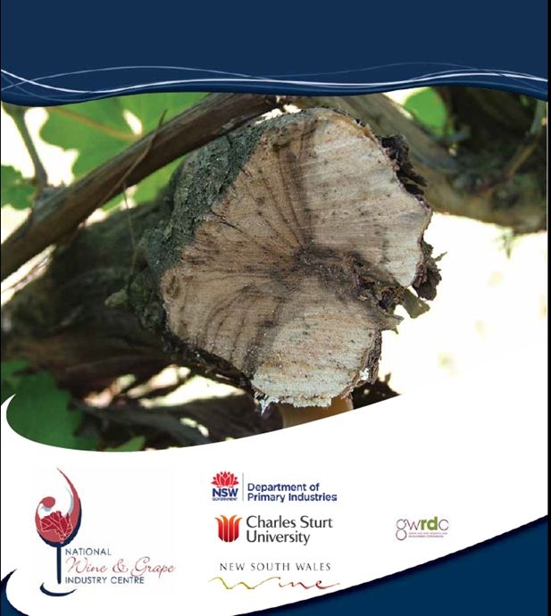 Grapevine trunk diseases symptoms and distribution (GTD) Technical